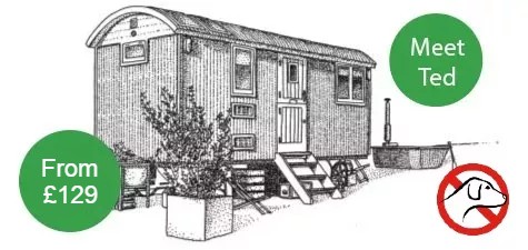 Ted white shepherd hut no pets